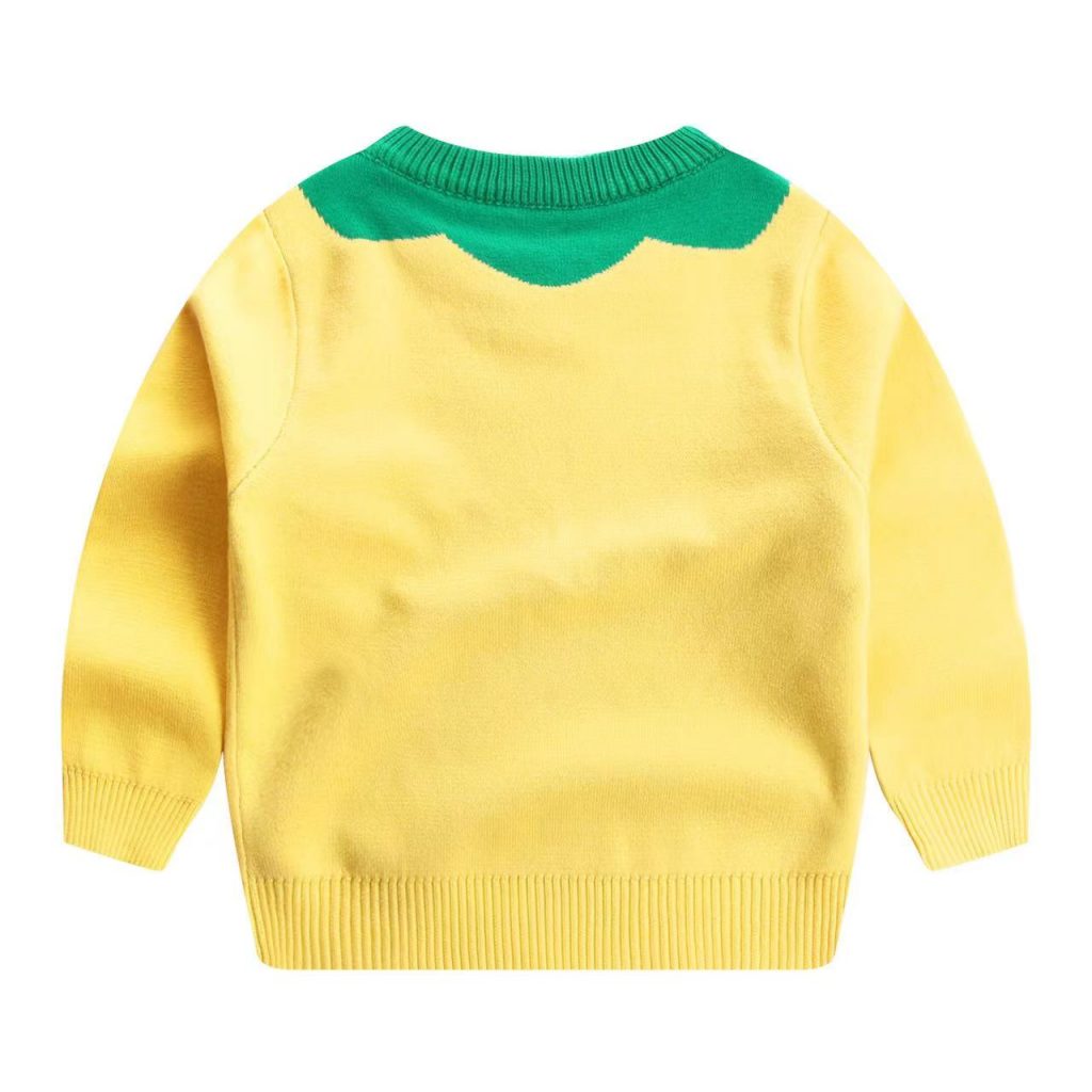 Sweater For Girl Online Shopping 3