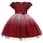 Baby Girl Dress Online Shopping 26