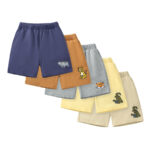 Wholesale Price Boys Shorts 6