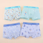 Kids Boys Underwear Sets 5