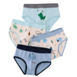 Kids Boys Underwear Sets 4