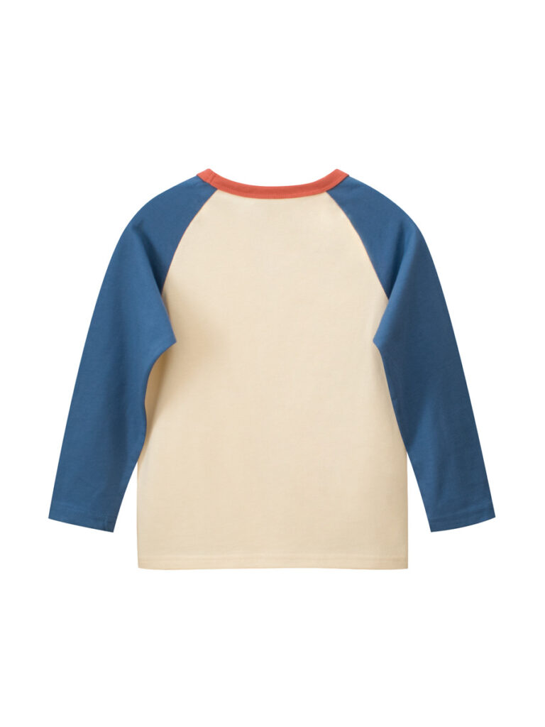 Long Sleeves Sweatshirt for Boys 5