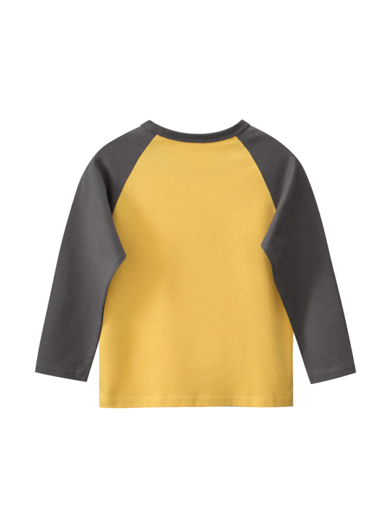 Long Sleeves Sweatshirt for Boys 5