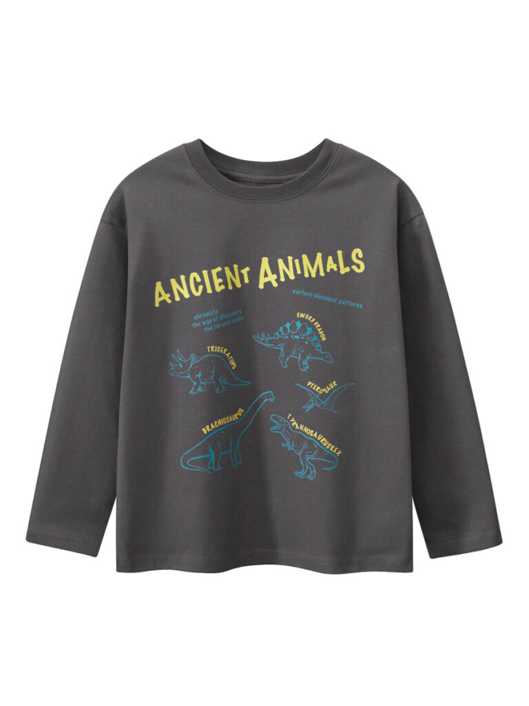 Autumn Casual Sweatshirt for Boys 1