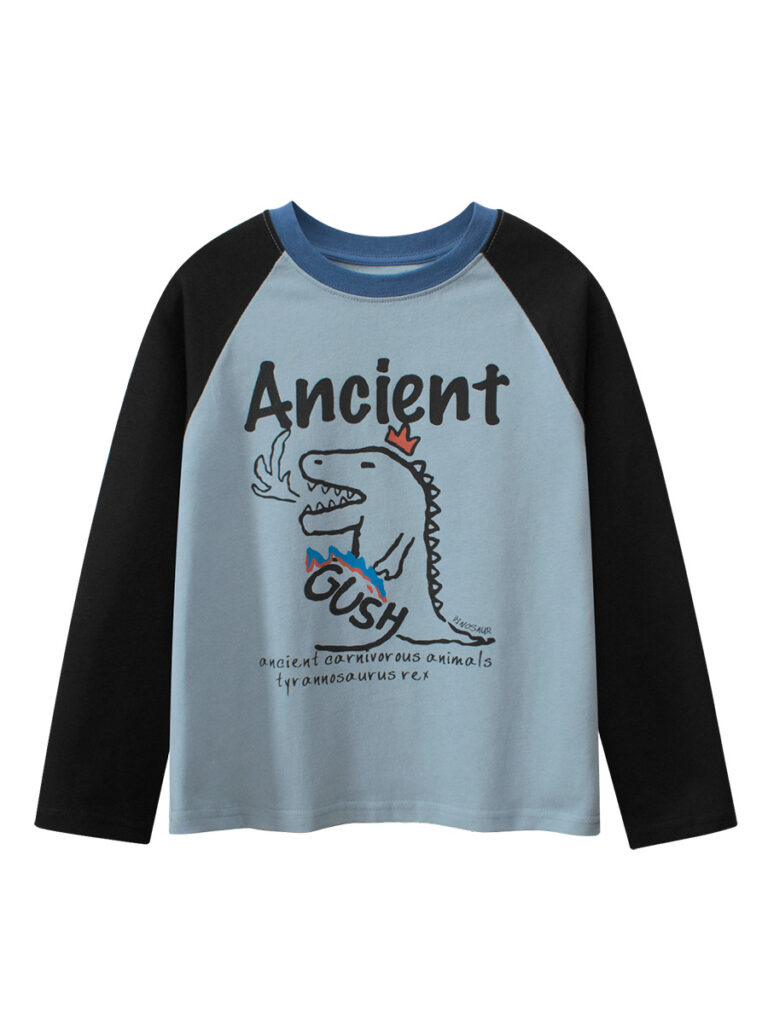 Autumn Casual Sweatshirt for Boys 1