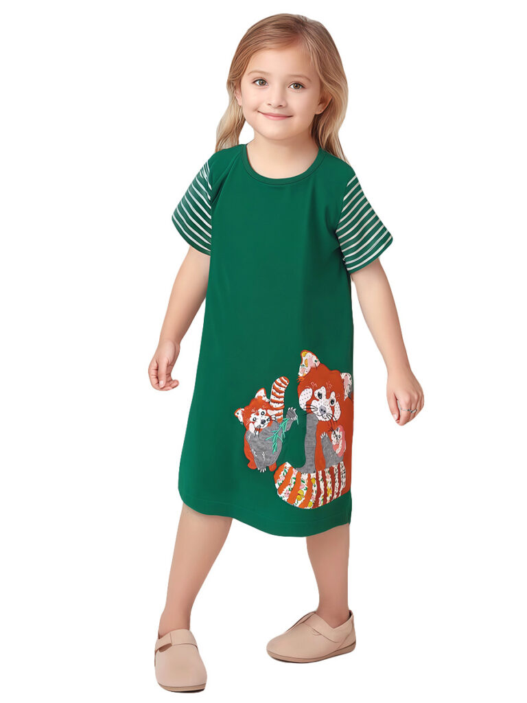 Cute Baby Dress 2